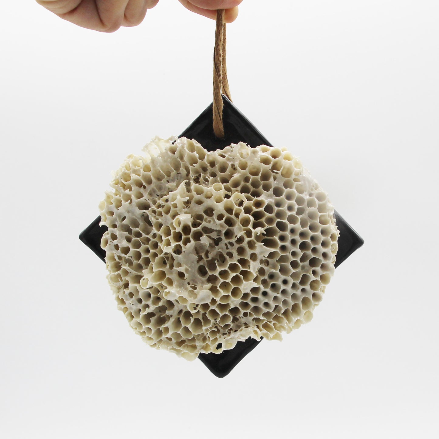 Hornet's Nest Ornament